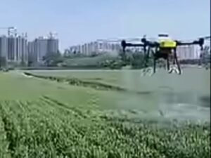 Golden opportunity for women in Bhagalpur: Drone will be cultivated and earn hefty ... Watch VIDEO