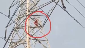After a dispute with her husband, the woman climbed on high-voltage power tower, police saved from understanding ... Watch VIDE