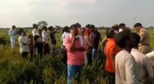 After a dispute with her husband, the woman climbed on high-voltage power tower, police saved from understanding ... Watch VIDE