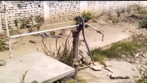 Brother shot brother in water dispute, one dies, mother also injured ... see Video