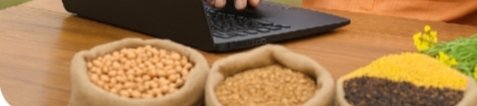 Yogi government started preparing to sell crops sitting at home till June 30