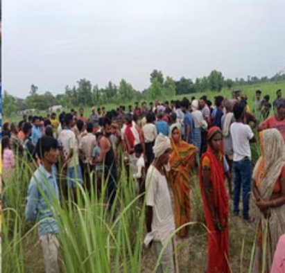 Wolf terror in Bahraich: Innocent from the mother's area while sleeping, the corpse found in the fiel